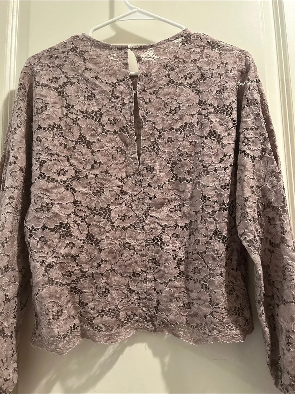 Zara GORGEOUS SEXY Lace peekaboo LongSleeve Blouse scallop hem size M beige